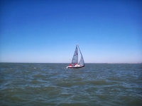 IMG_7291.JPG
