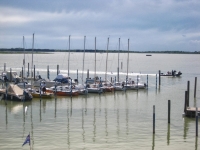 IMG_7351.JPG