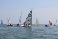 CI08.jpg
