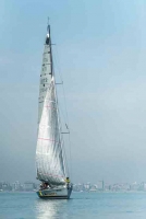 Primavera2014_22.jpg